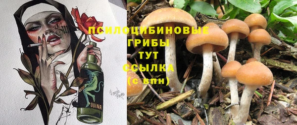 MDMA Богданович