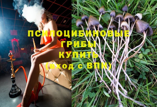 прущие крисы Беломорск