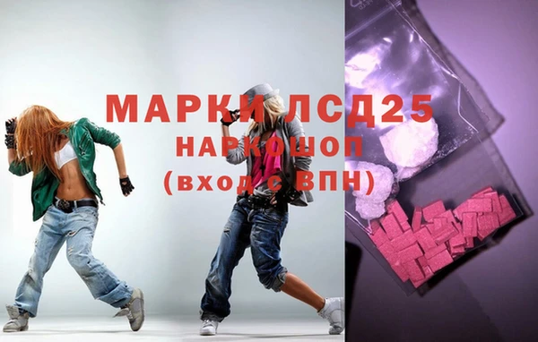 гидропоника Богородицк